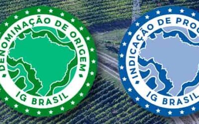 Você sabe o que é uma Indicação Geográfica?